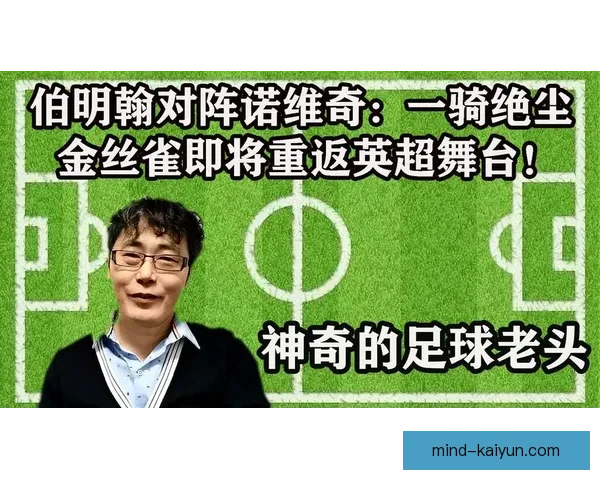 诺维奇金丝雀本赛季状态回暖，竞争力持续提升