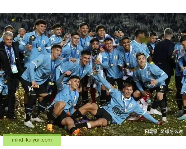 乌拉圭队世界杯近期表现稳健，竞争力持续提升